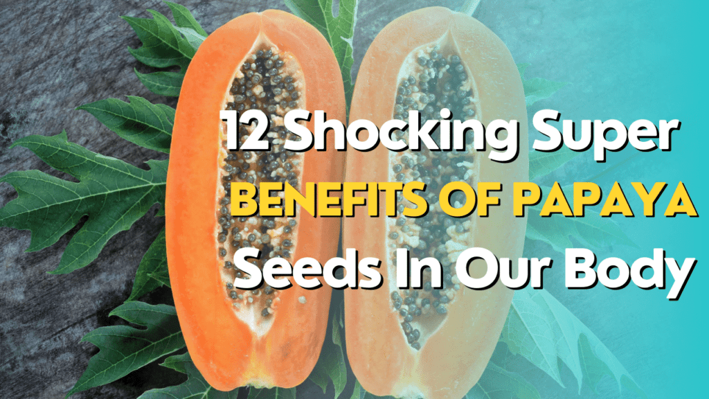 12 Shocking Super Benefits Of Papaya Seeds In Our Body