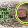 14 Surprising Benefits of Flax Seeds In Our Body