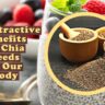 10 Attractive Benefits Of Chia Seeds In Our Body