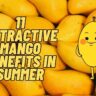 11 Attractive Mango Benefits In Summer