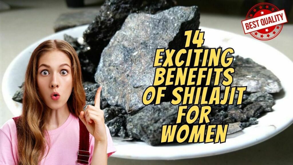 14 Exciting Benefits Of Shilajit For Women