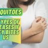 Mosquitoes 5 Types Of Diseases If They Bites Us