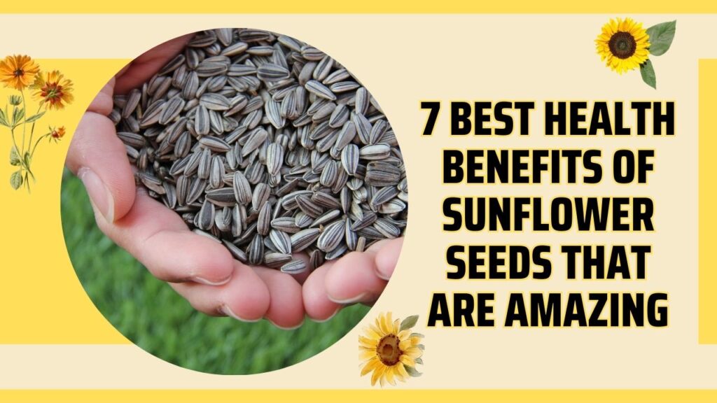 7 Best Health Benefits Of Sunflower Seeds That Are Amazing