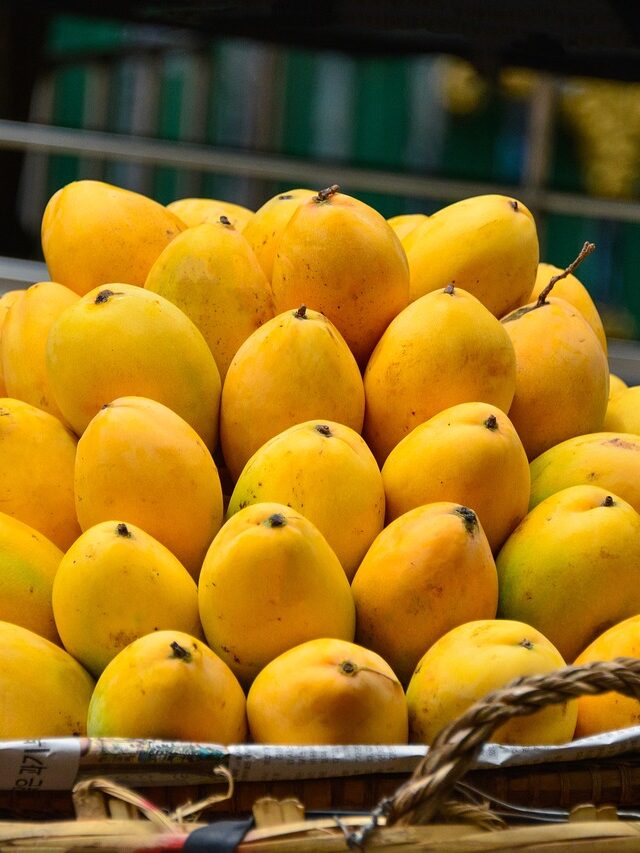 5 Best Healthy Benefits Of Eating Mango